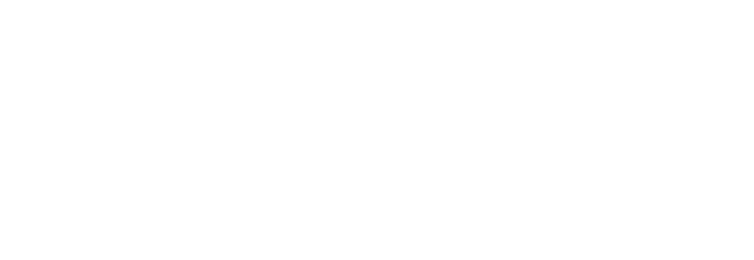 bulkvision